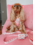 Dog four-piece bundle of pet collars and harnesses by Sassy Woof, featuring colorful My Melody™ designs.
