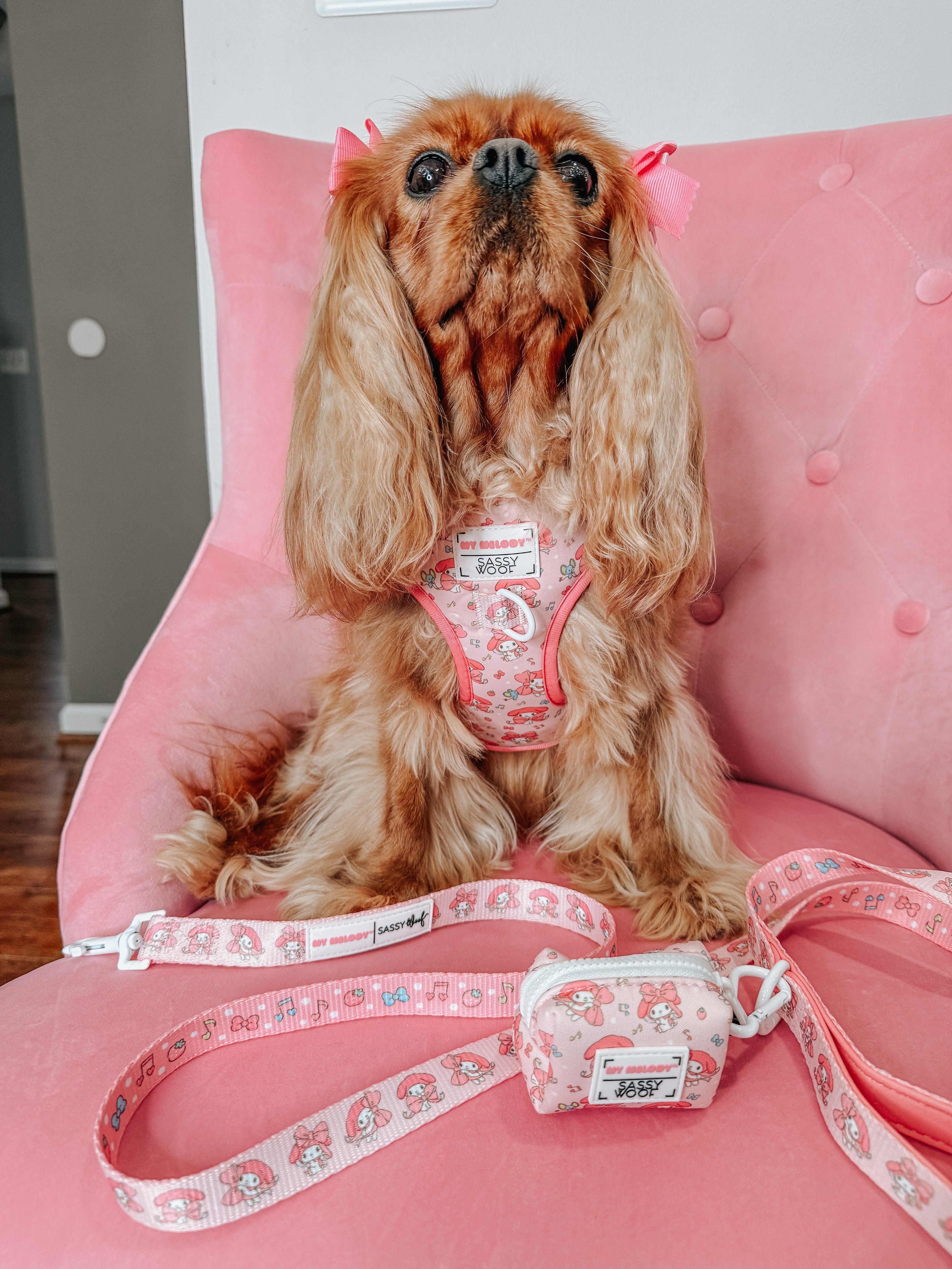 Dog four-piece bundle of pet collars and harnesses by Sassy Woof, featuring colorful My Melody™ designs.