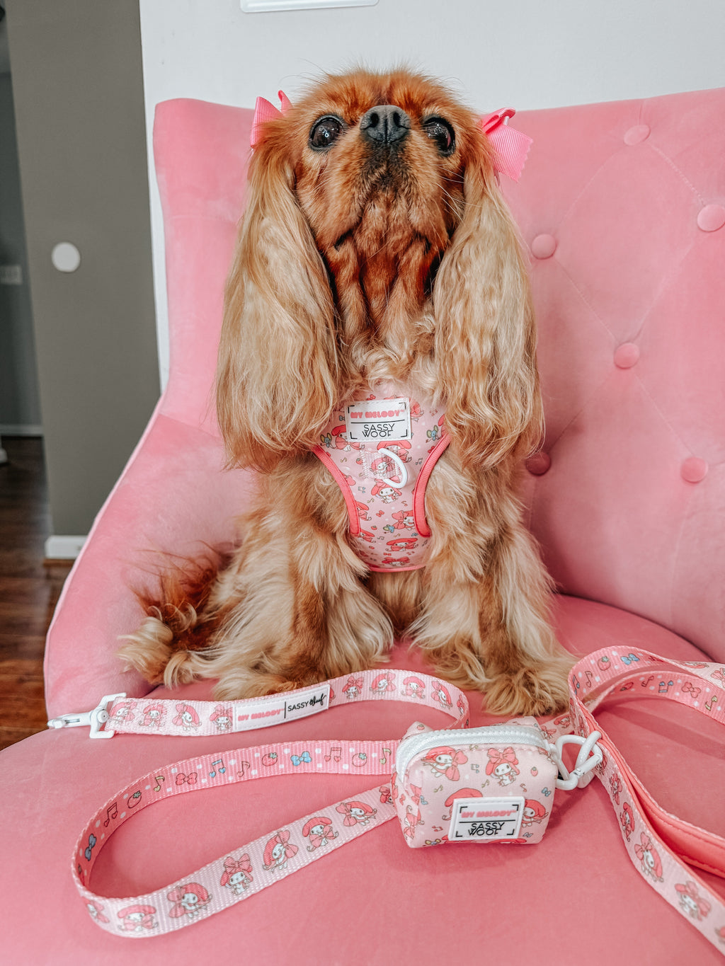 Dog adjustable harness from Sassy Woof featuring My Melody™ design, shown on a lady wearing it outdoors.