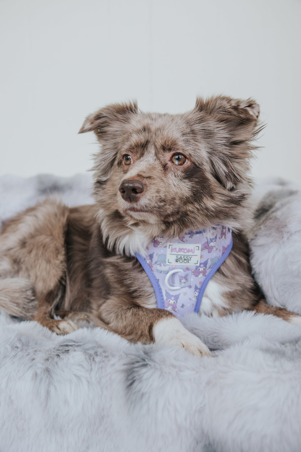 Sassy Woof Kuromi™ adjustable dog harness in pink with black accents, featuring a cute design and secure buckle closure.