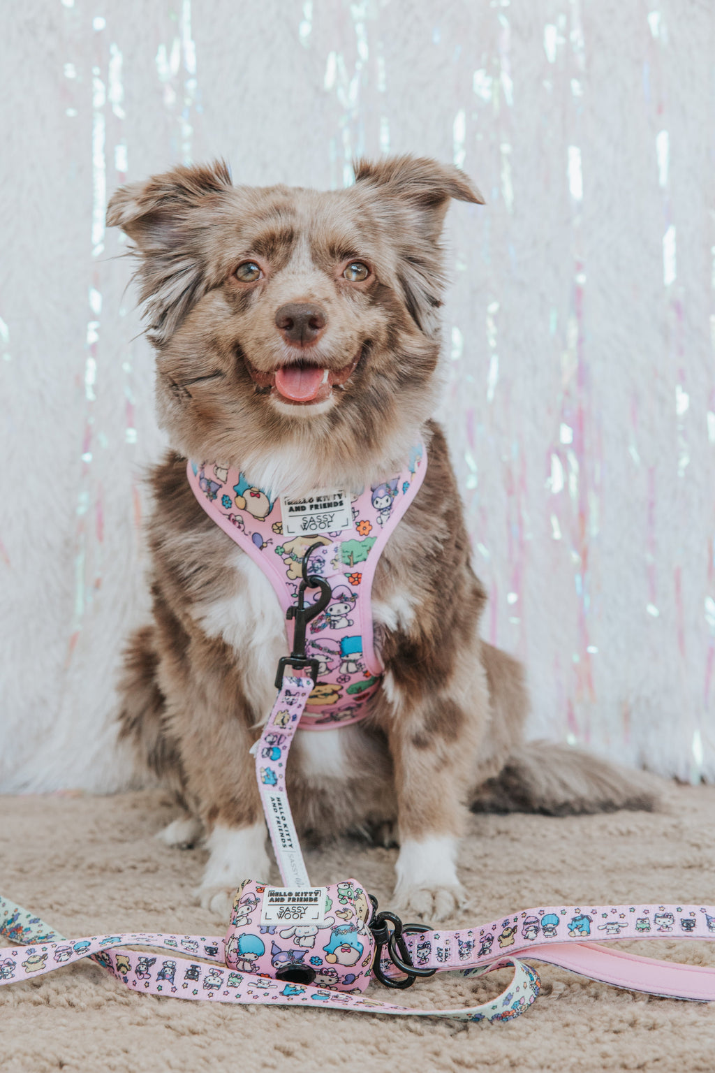 Sassy Woof Hello Kitty® & Friends Flower Festival dog leash with colorful floral design and sturdy hardware for small pets.