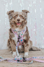 Sassy Woof Hello Kitty® & Friends Flower Festival dog leash with colorful floral design and sturdy hardware for small pets.