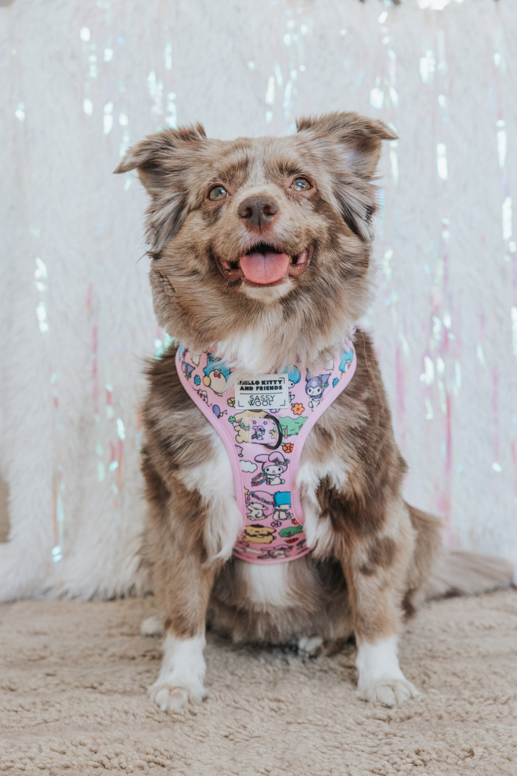 Dog collar and harness set featuring Hello Kitty® and Friends Flower Festival design by Sassy Woof for pets.