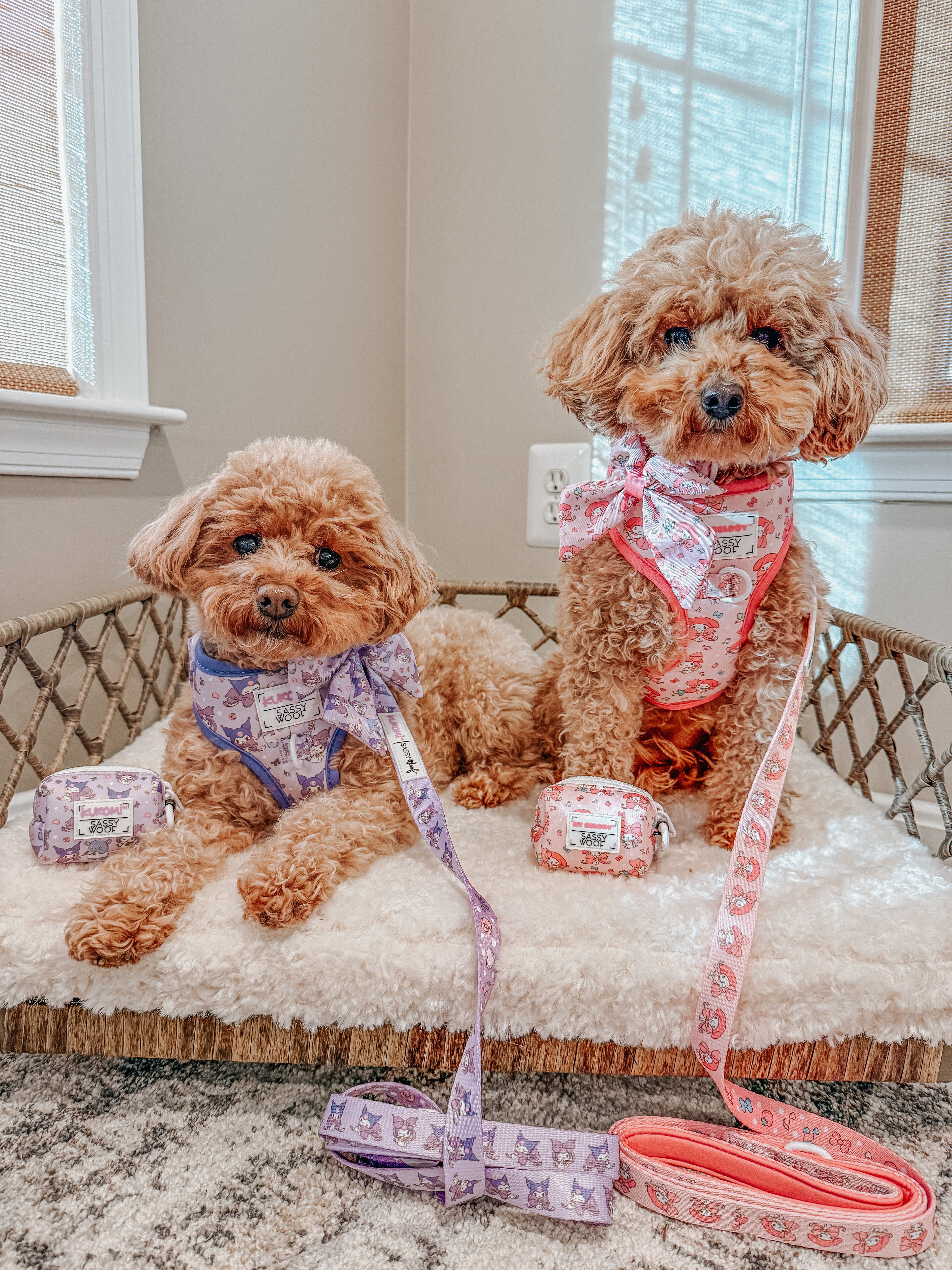 Sassy Woof My Melody™ dog two-piece bundle with colorful collars and harnesses for small pets, featuring playful design and adjustable straps.
