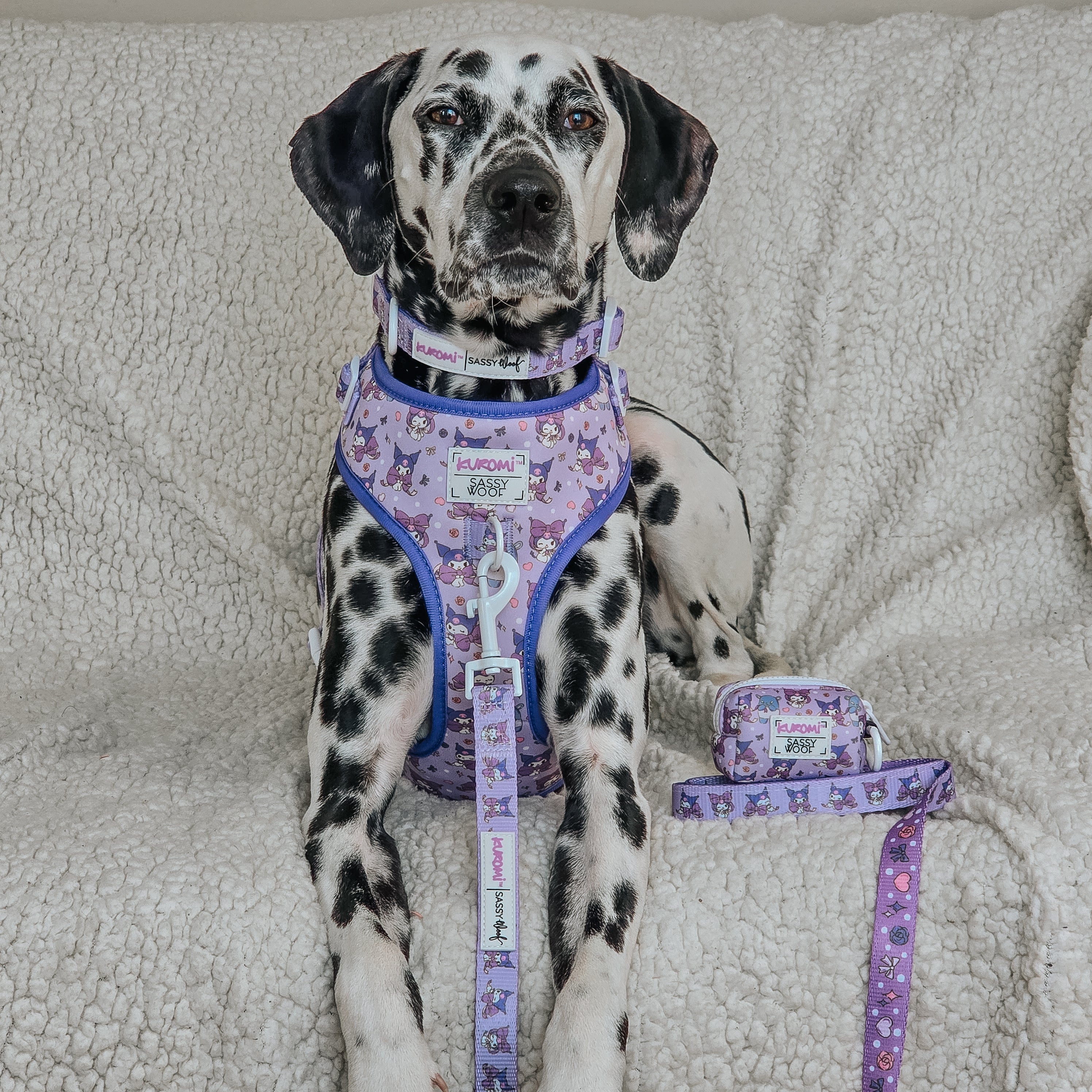 Sassy Woof Kuromi™ dog collar with playful design, adjustable pet collar for small to medium dogs, made of durable material.