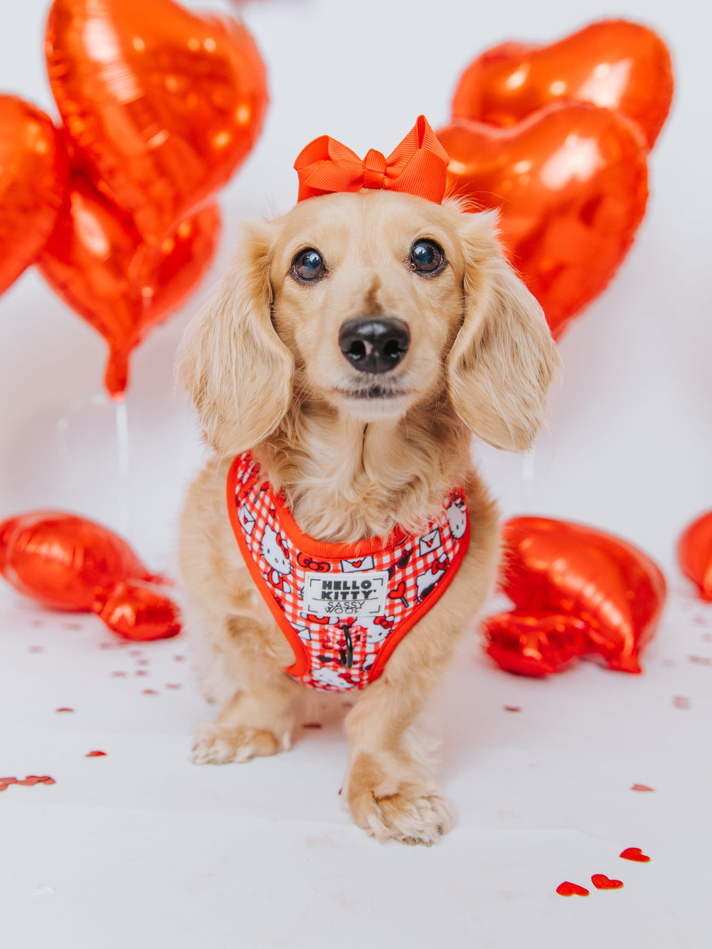 Red Hello Kitty® adjustable dog harness by Sassy Woof, featuring playful Hello Kitty® design on a comfortable pet collar.