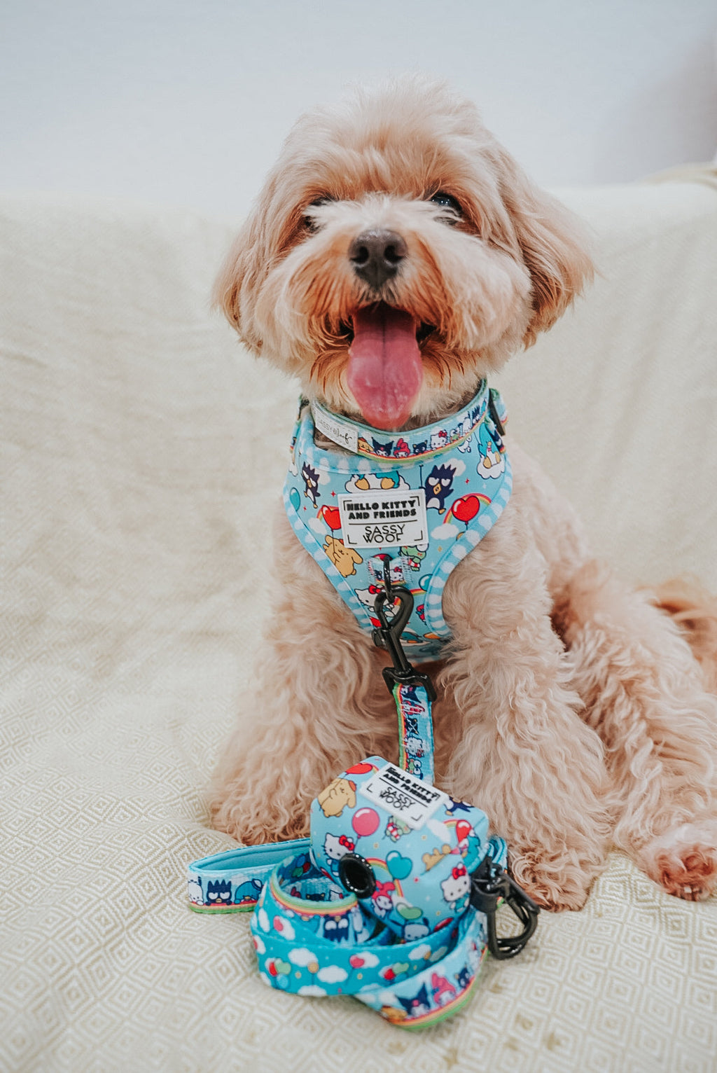 Sassy Woof Hello Kitty pet harness featuring a colorful sky design, adjustable fit for small dogs, made for comfort and style.