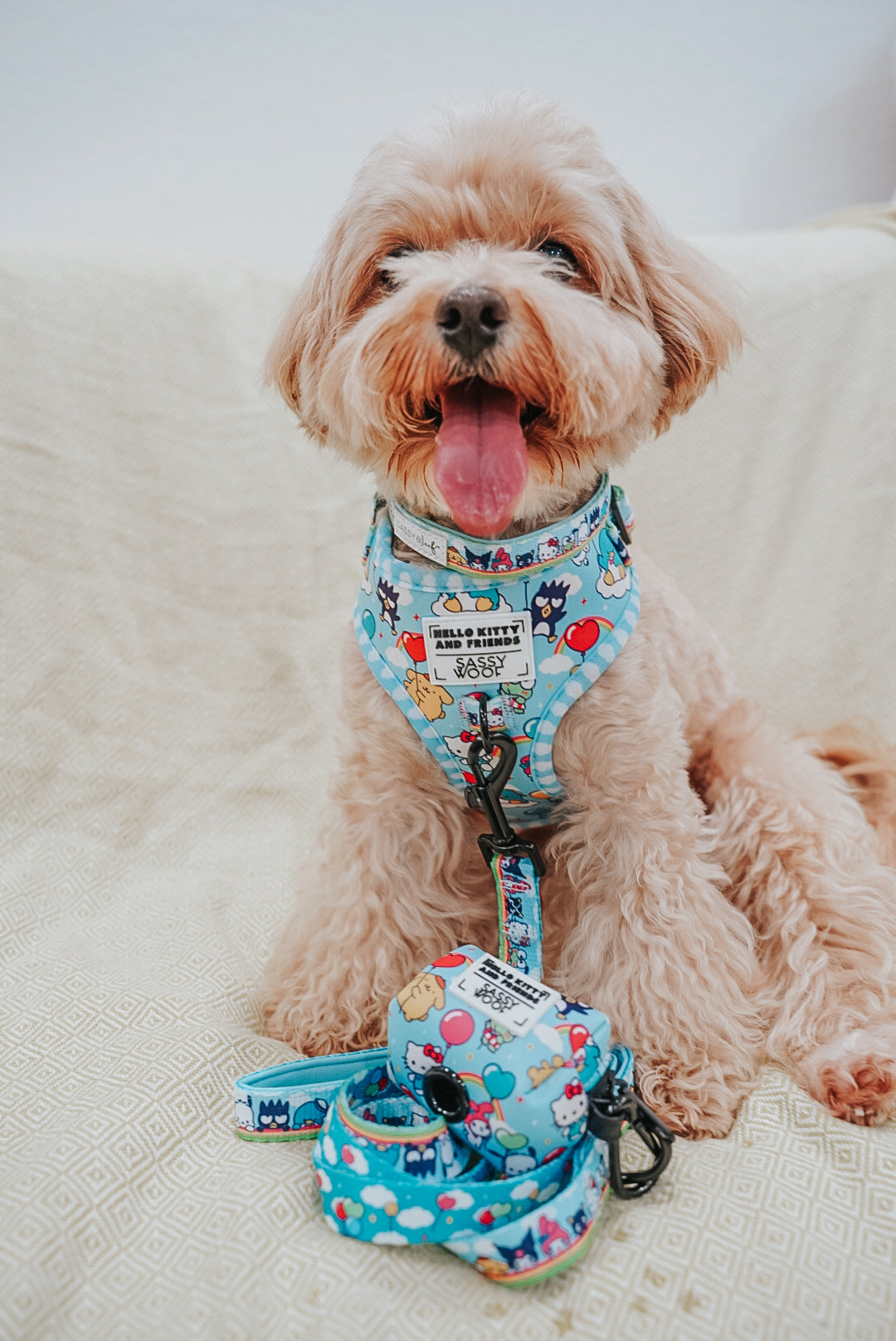 Sassy Woof Hello Kitty pet harness featuring a colorful sky design, adjustable fit for small dogs, made for comfort and style.
