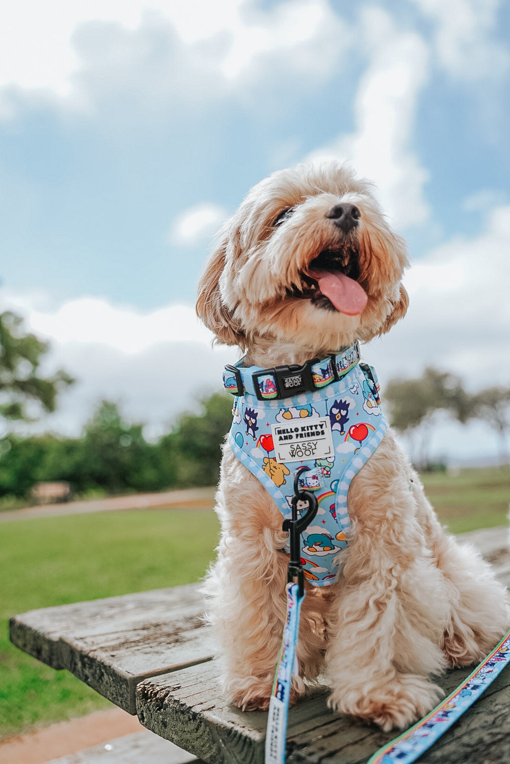 Sassy Woof Hello Kitty® & Friends sky-themed dog collar with colorful Hello Kitty and friend designs, suitable for small pets