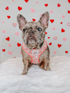 Dog adjustable harness from Sassy Woof's My Melody™ collection, featuring a colorful pattern and secure fit for pets.