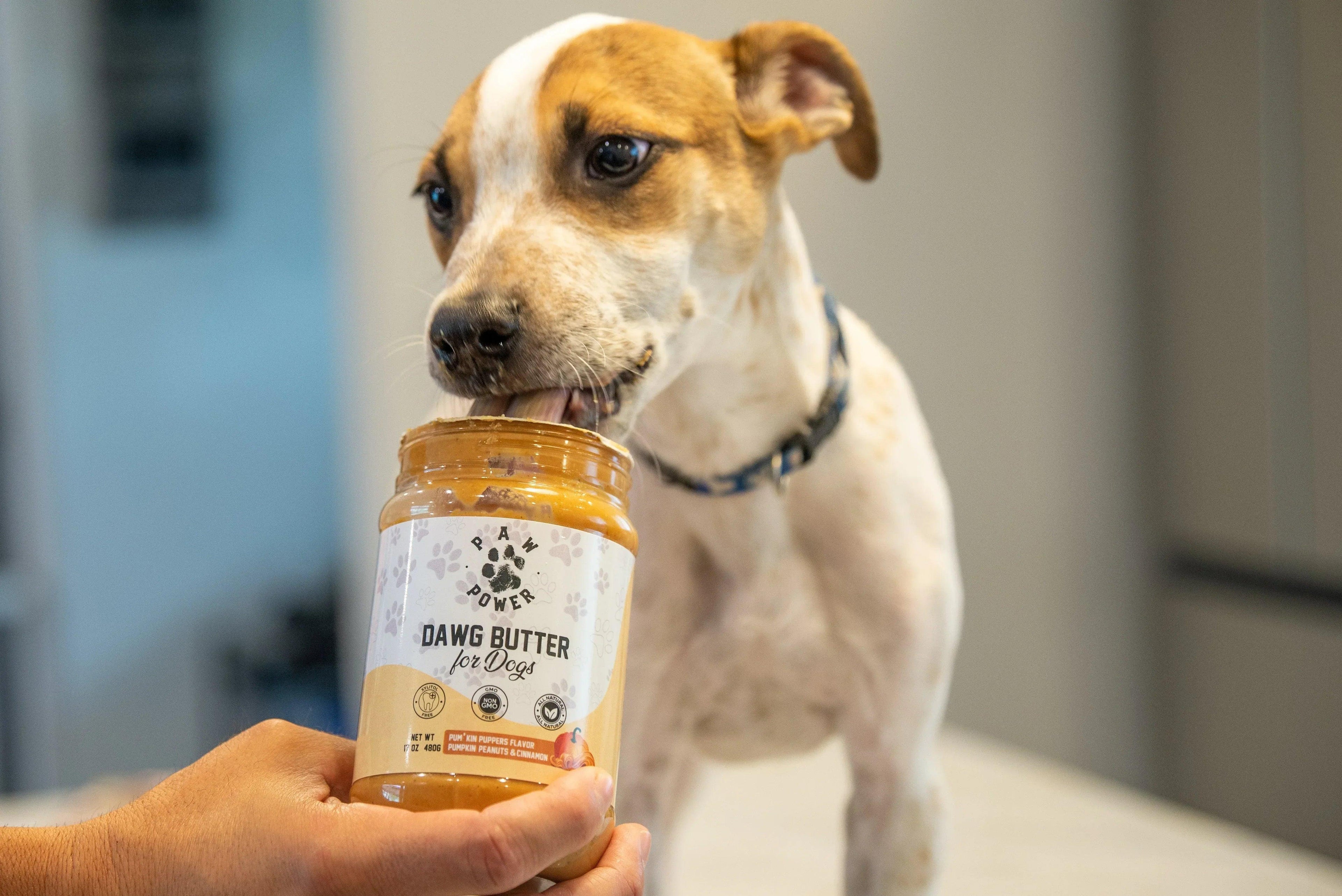 Dawg Butter Pum'kin Puppers flavor dog treat by Paw Power Nutrition, showing the packaging with a pumpkin and dog images.