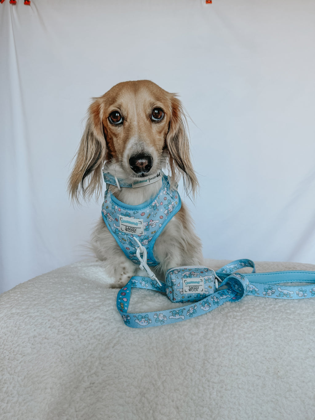 Sassy Woof Cinnamoroll™ dog leash featuring a cute pastel design, with a comfortable handle and secure clasp for pet walking.