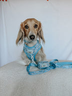 Sassy Woof Cinnamoroll™ dog leash featuring a cute pastel design, with a comfortable handle and secure clasp for pet walking.