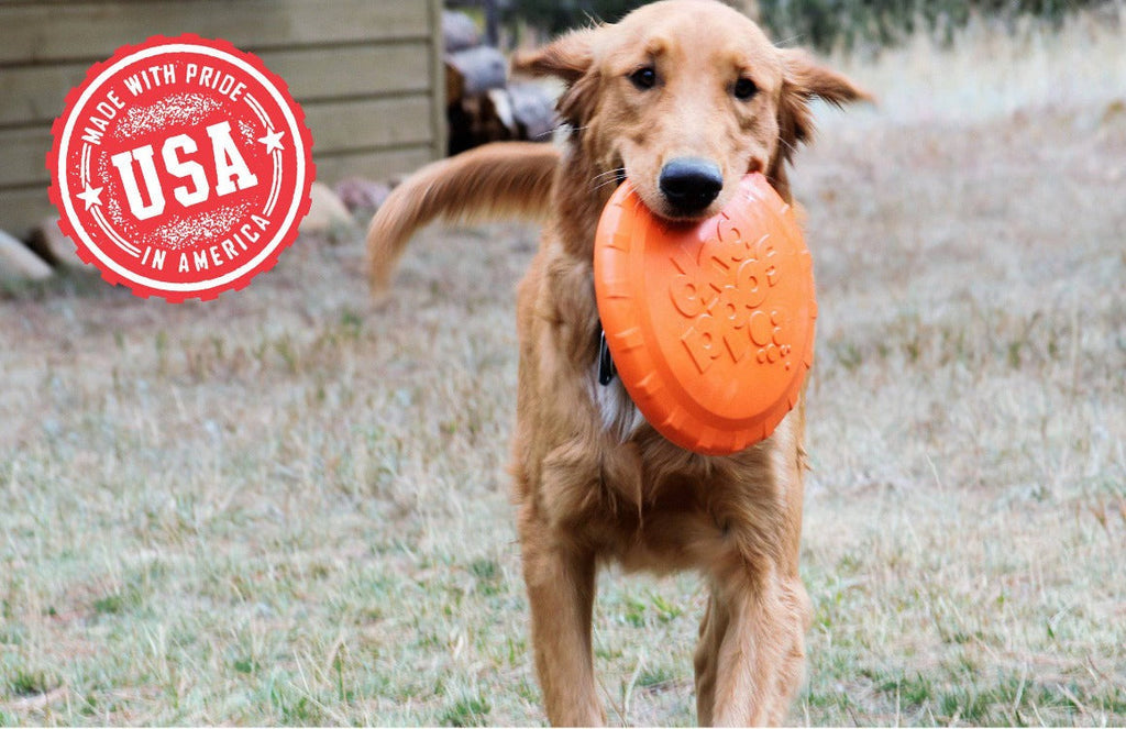 Orange Rubber Dog Frisbee from SodaPup, durable and vet-approved for fetch and retrieving play.