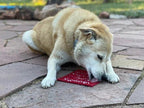 SodaPup Love eMat enrichment lick mat for dogs and cats with a heart design, made for stimulating and entertaining pets.