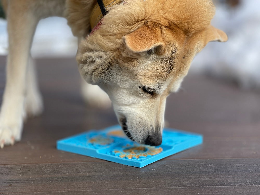 Light blue Sky eMat enrichment lick mat for dogs and cats by SodaPup, featuring a celestial celestial design.