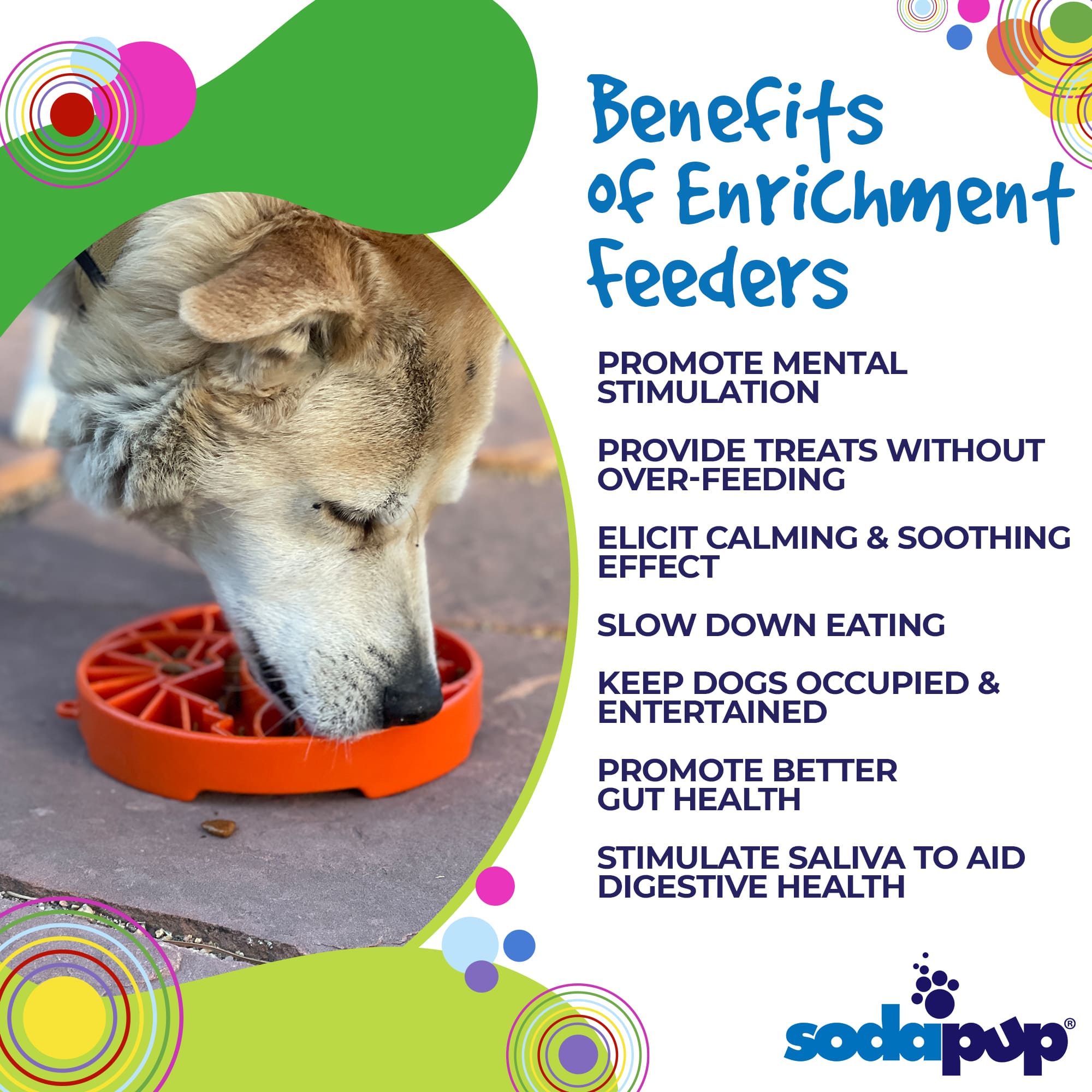 Sun and Moon eTray by SodaPup, USA-made shallow slow feeder dog bowl with yin-yang design for enrichment.