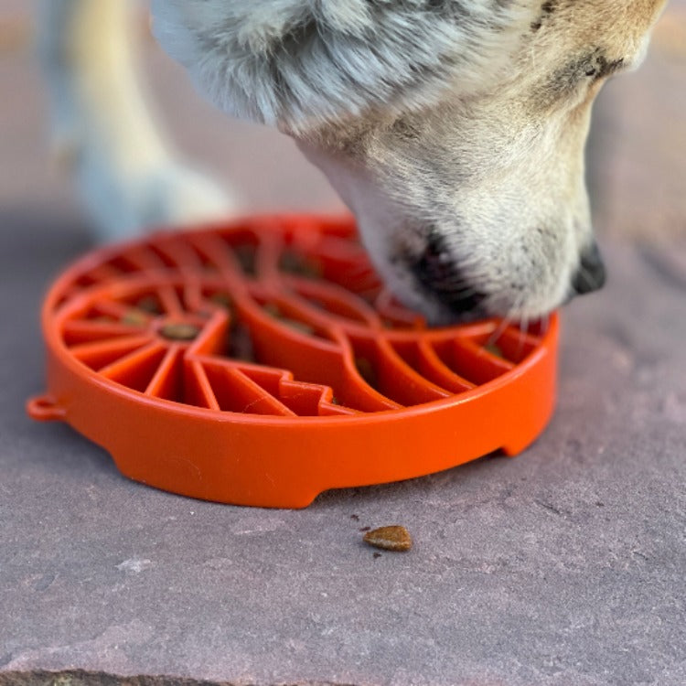 Orange Sun and Moon ETRAY shallow slow feeder dog bowl by SodaPup for enrichment, USA-made, with yin-yang design.