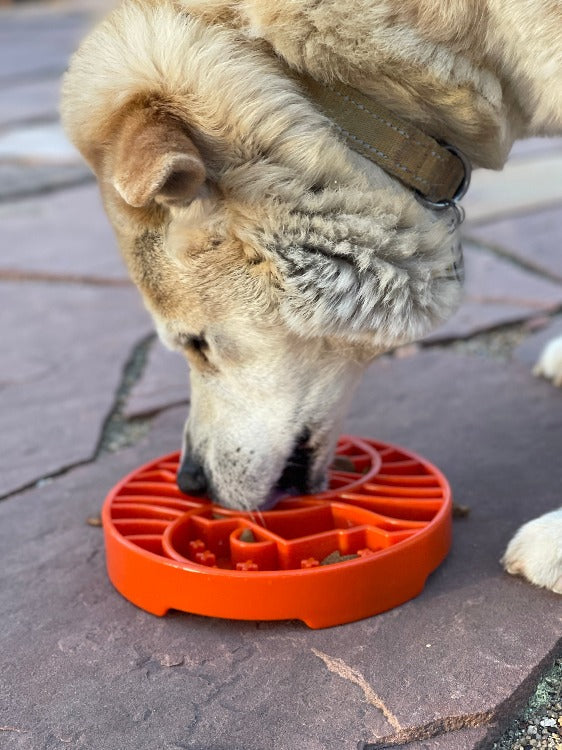 Sun and Moon eTray shallow slow feeder dog bowl by SodaPup, made in the USA, featuring a colorful yin-yang sun and moon design.