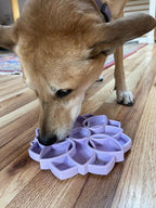 Pastel purple Mandala Softie ETRAY shallow slow feeder dog bowl with suction cups, made in the USA by SodaPup/True Dogs LLC.