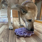 Pastel purple SodaPup Mandala Softie ETRAY shallow slow feeder dog bowl with suction cups, USA-made, designed for easy feeding.