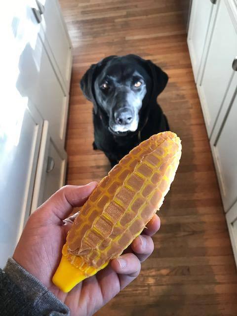 Yellow nylon dog toy shaped like corn on the cob, designed for aggressive chewers by SodaPup, USA-made durable dog toy.