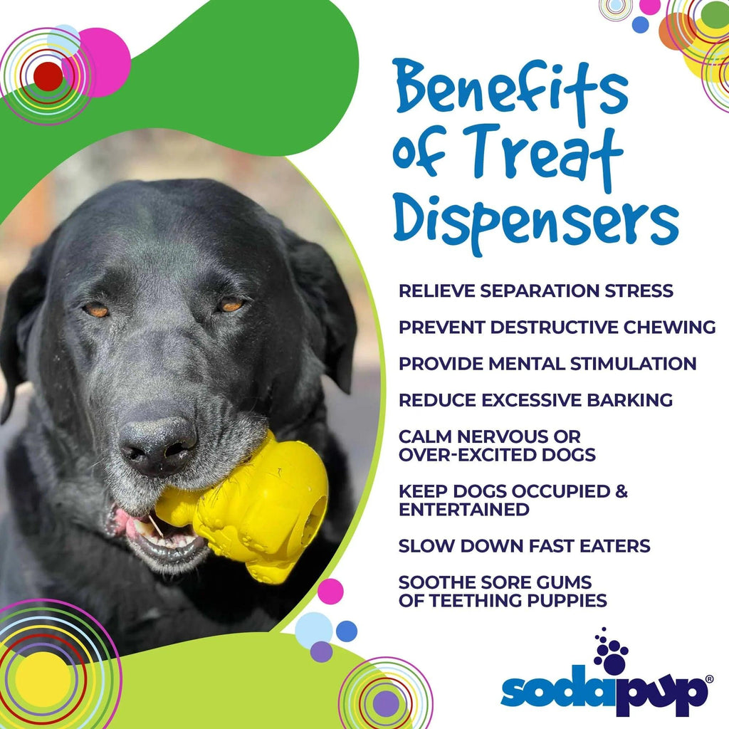 Medium Honey Bear Rubber Dog Toy and Treat Dispenser by SodaPup, USA-made durable rubber treat toy for dogs.