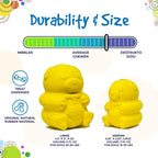 Rubber Honey Bear dog treat dispenser by SodaPup, durable USA-made toy for dogs with textured rubber surface.
