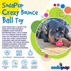 Orange Crazy Bounce Rubber Dog Chew Toy for power chewers, designed for retrieving and play, made by SodaPup/True Dogs in the USA.