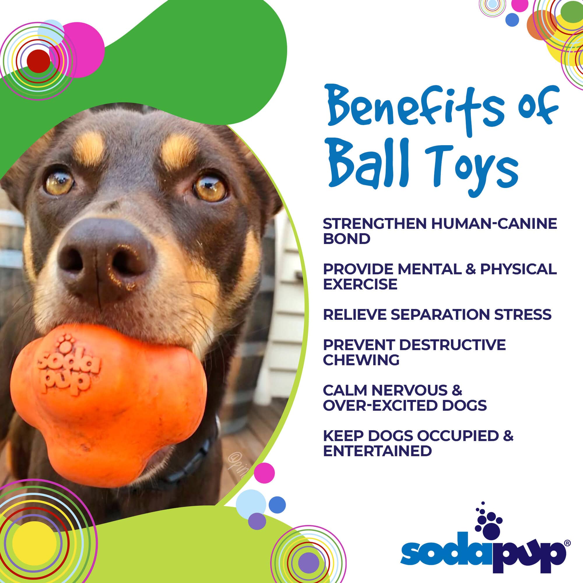 Orange Crazy Bounce Rubber Dog Chew Toy for Power Chewers, SodaPup/True Dogs, USA-made retrieving ball for dogs.