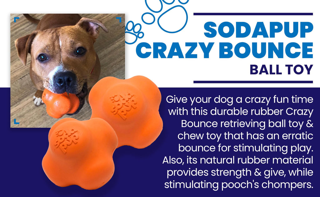 Orange Crazy Bounce Rubber Dog Chew Toy for power chewers by SodaPup, featuring a retrieving ball design, USA made durable rubber.
