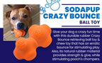 Orange Crazy Bounce Rubber Dog Chew Toy for power chewers by SodaPup, featuring a retrieving ball design, USA made durable rubber.