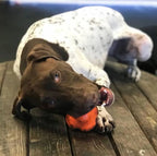Orange Crazy Bounce Rubber Dog Chew Toy for Power Chewers, designed for retrieving and durable play, made in the USA by SodaPup.