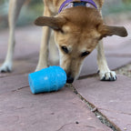 Blue ice cream cone rubber dog toy for power chewers, made in the USA by SodaPup, designed for durable dog play and chewing.