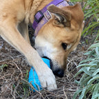 Blue rubber ice cream cone dog chew toy for power chewers, made by SodaPup, USA-made durable dog toy for aggressive chewers.